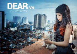 Là người đến trước... nhưng đến cuối cùng em vẫn là kẻ thua cuộc 3 Là người đến trước... nhưng đến cuối cùng em vẫn là kẻ thua cuộc 2
