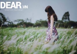 Em vẫn đang học cách để quên được anh... 5 Em vẫn đang học cách để quên được anh... 5