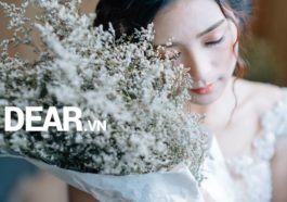 Quay lại làm gì, khi em đã quên anh? 12 Quay lại làm gì, khi em đã quên anh? 12
