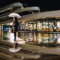 Say đắm trước vẻ đẹp mong manh của đồi cỏ hồng Đà Lạt 21 Say đắm trước vẻ đẹp mong manh của đồi cỏ hồng Đà Lạt 2