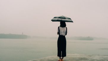 Lòng chẳng vui... sao gió lạnh đã vội ùa về 4