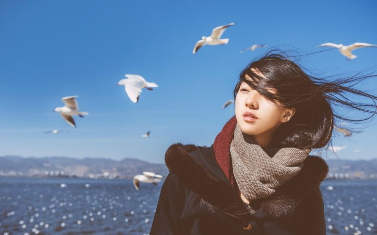 Mùa đông không dành cho một đứa đơn côi... 1