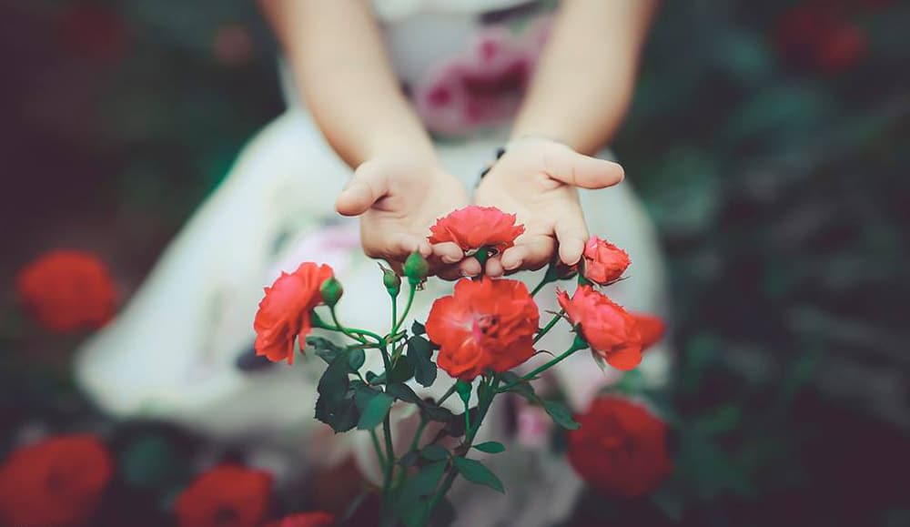 Nếu một ngày con biết yêu... 9 Nếu một ngày con biết yêu... 9