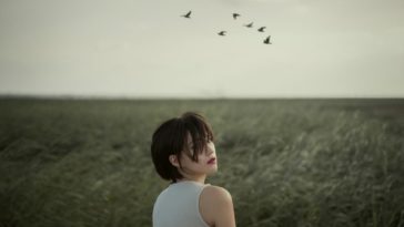 Khép lại yêu thương, khép lại những sớm hôm đợi chờ... 2