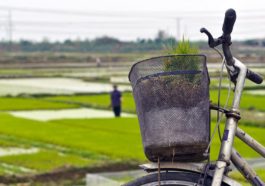 Ngạc nhiên với tục ăn cỗ lấy phần độc đáo của người Hải Dương