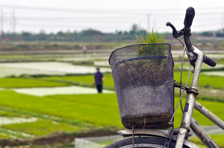 Ngạc nhiên với tục ăn cỗ lấy phần độc đáo của người Hải Dương