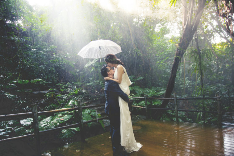 Hãy tìm một người tử tế để yêu cuộc đời này quá ngắn để qua quýt 13 Hãy tìm một người tử tế để yêu cuộc đời này quá ngắn để qua quýt 1