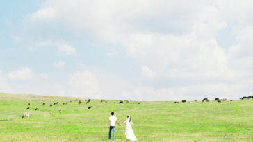 Sang xuân rồi đó, nắm tay em bước qua mùa yêu thương nhé! 3