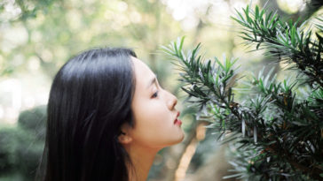 Hoa nở rồi tàn, tình đến rồi đi... hãy chấp nhận như một quy luật tự nhiên 2