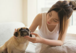Tình yêu giống như một con chó, mình đuổi thì nó chạy mình chạy thì nó lại đuổi 12 Tình yêu giống như một con chó, mình đuổi thì nó chạy mình chạy thì nó lại đuổi 6