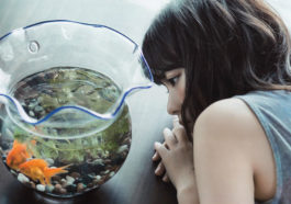 Phụ nữ có muộn duyên tình cũng đừng có quá đau buồn 5 Phụ nữ có muộn duyên tình cũng đừng có quá đau buồn...