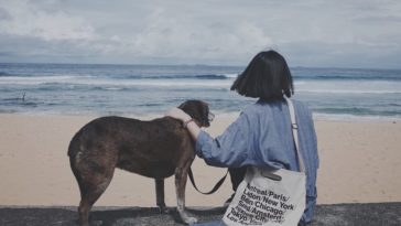 Mọi sự tùy duyên, buông bỏ mới khiến chúng ta mạnh mẽ