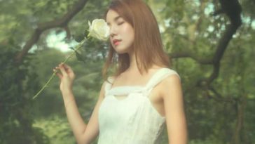 Tha thứ không phải để trở nên vĩ đại, mà là để hạnh phúc hơn