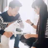Yêu và thương khác nhau như nào? 22 Yêu và thương khác nhau như nào?
