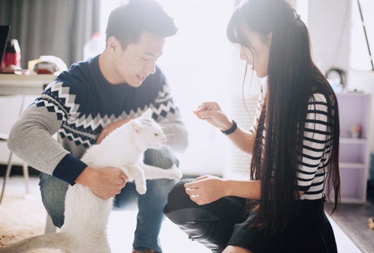 Yêu và thương khác nhau như nào? 13 Yêu và thương khác nhau như nào?
