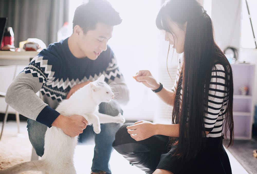 Yêu và thương khác nhau như nào? 4 Yêu và thương khác nhau như nào?