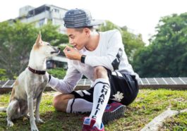 Xem bói tử vi tuổi Kỷ Tỵ (1989) Nam Mạng năm 2018 11 Xem bói tử vi tuổi Kỷ Tỵ (1989) Nam Mạng năm 2018
