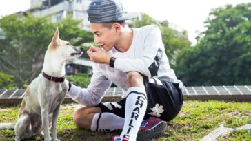 Xem bói tử vi tuổi Kỷ Tỵ (1989) Nam Mạng năm 2018