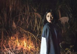Xem bói tử vi tuổi Quý Hợi (1983) Nữ Mạng năm 2018