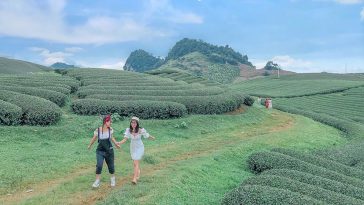 Ăn chơi xả stress 2 ngày cuối tuần tại Mộc Châu chỉ với 900K