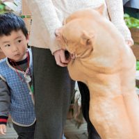 Làm thế nào để đáp trả lại những đứa trẻ nghịch ngợm? 22 Làm thế nào để đáp trả lại những đứa trẻ nghịch ngợm?