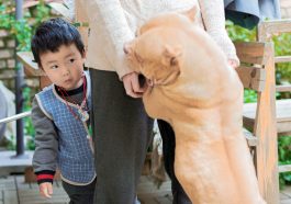 Làm thế nào để đáp trả lại những đứa trẻ nghịch ngợm? 9 Làm thế nào để đáp trả lại những đứa trẻ nghịch ngợm?