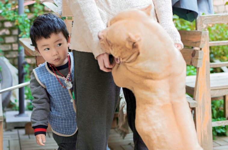 Làm thế nào để đáp trả lại những đứa trẻ nghịch ngợm? 13 Làm thế nào để đáp trả lại những đứa trẻ nghịch ngợm?