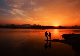 Nếu cả thế giới ăn chay thì vận mệnh của nhân loại sẽ thay đổi 12 Nếu cả thế giới ăn chay thì vận mệnh của nhân loại sẽ thay đổi